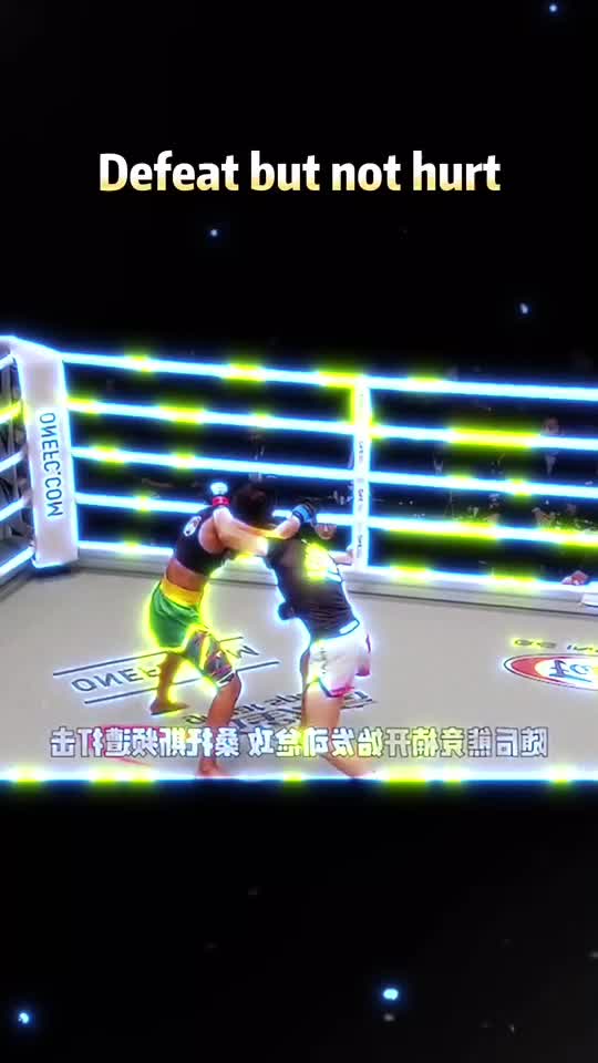 @fighting_kingfupanda