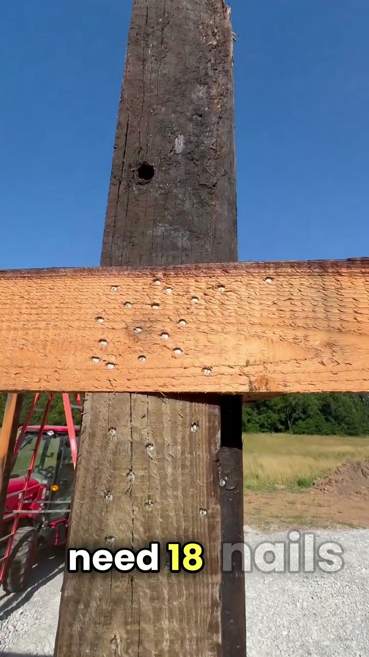 @Rockhill Farm YouTube