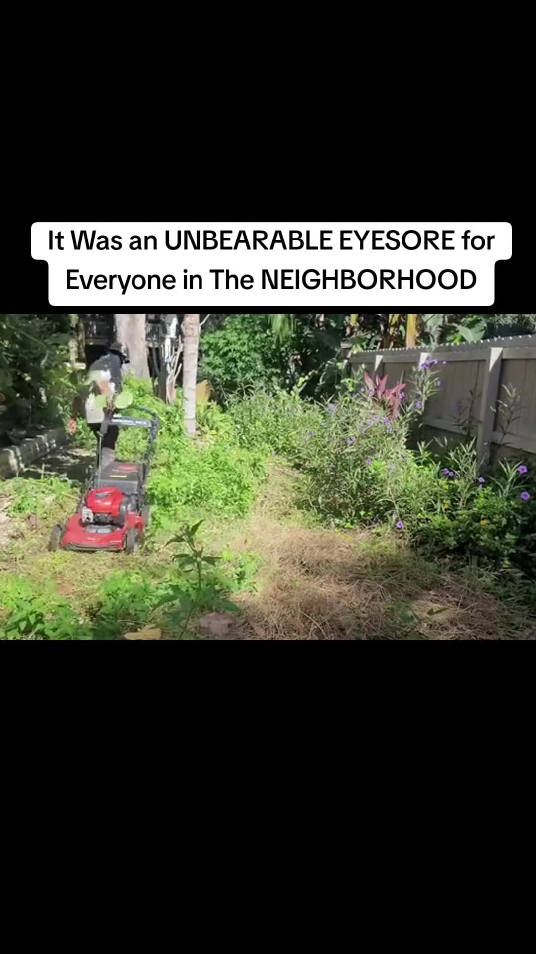 @treeplant_gardening