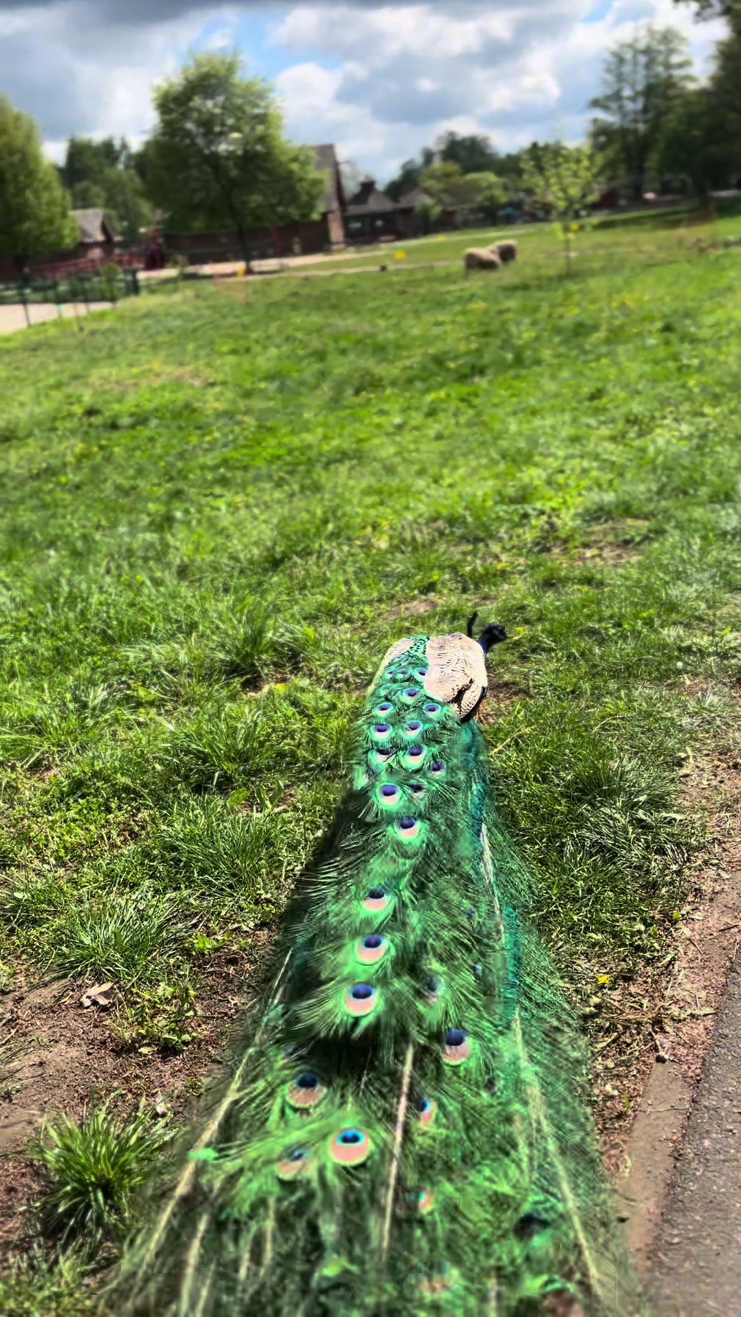 @&hellip;𝐸𝑤𝑎&hellip;
