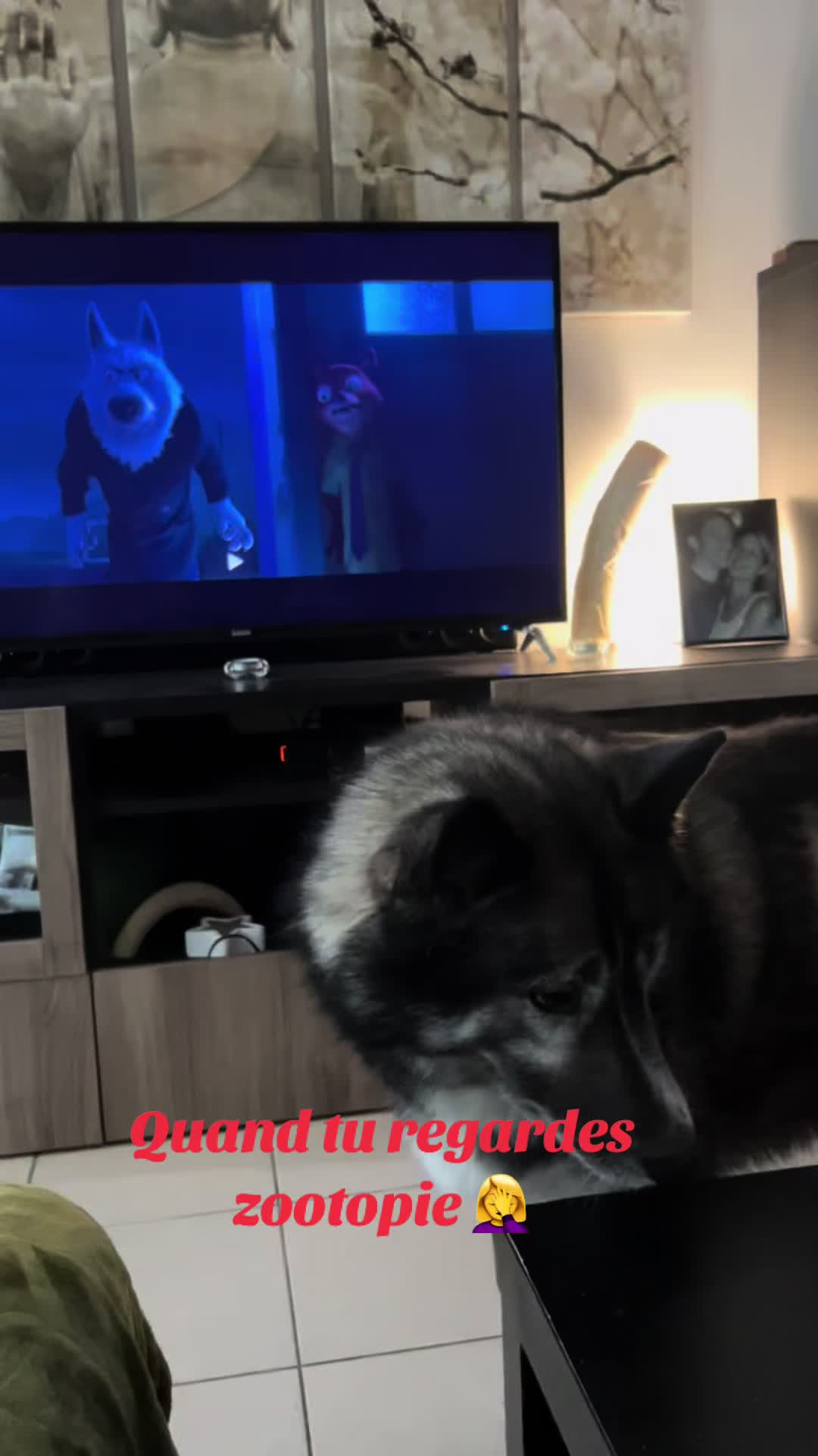 @Naia🐺 & Vénus