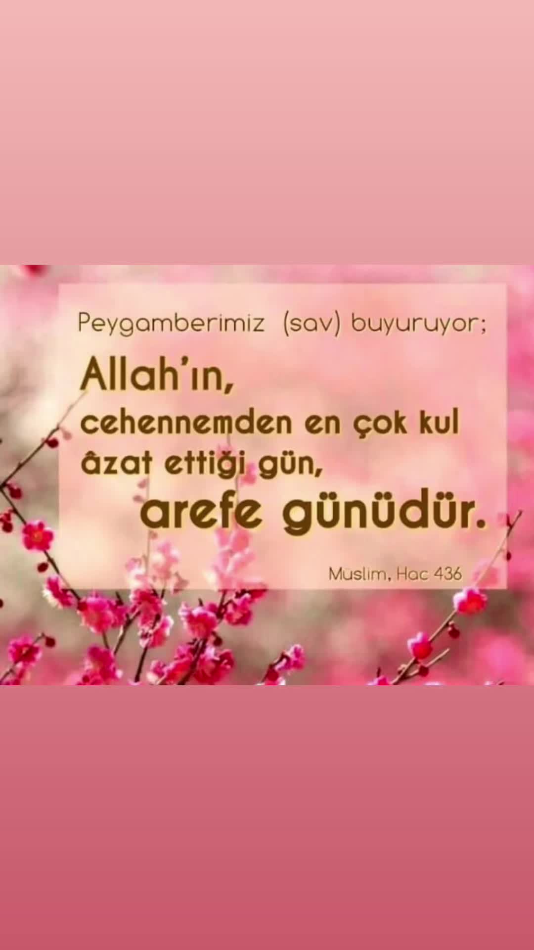 @bir_incitanesi