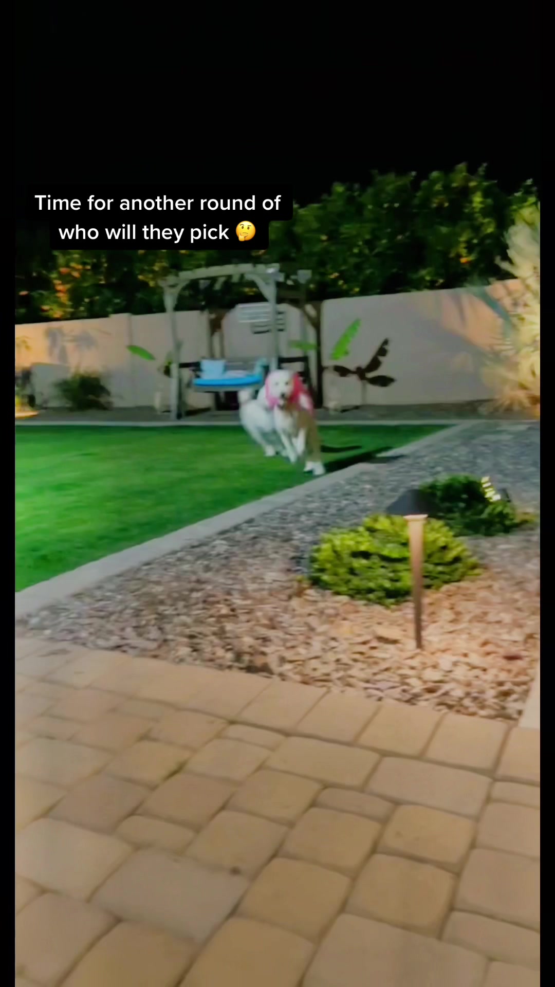 @Lia