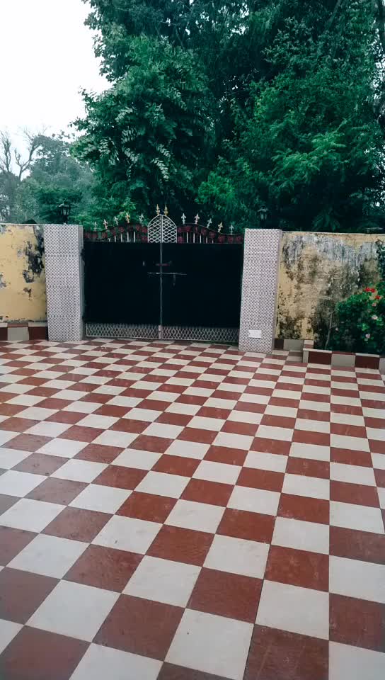 @ruchikachoudhary1818