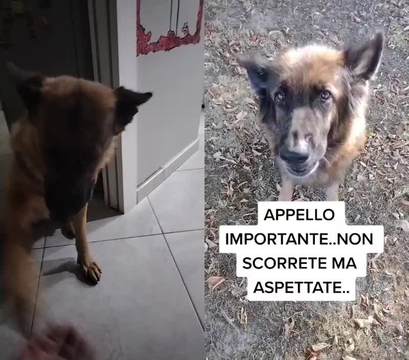@Marco