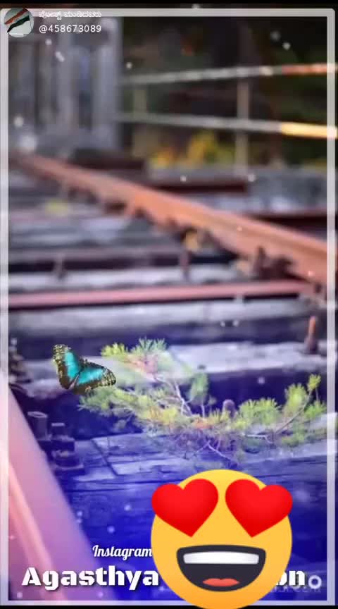 @user2484317849058