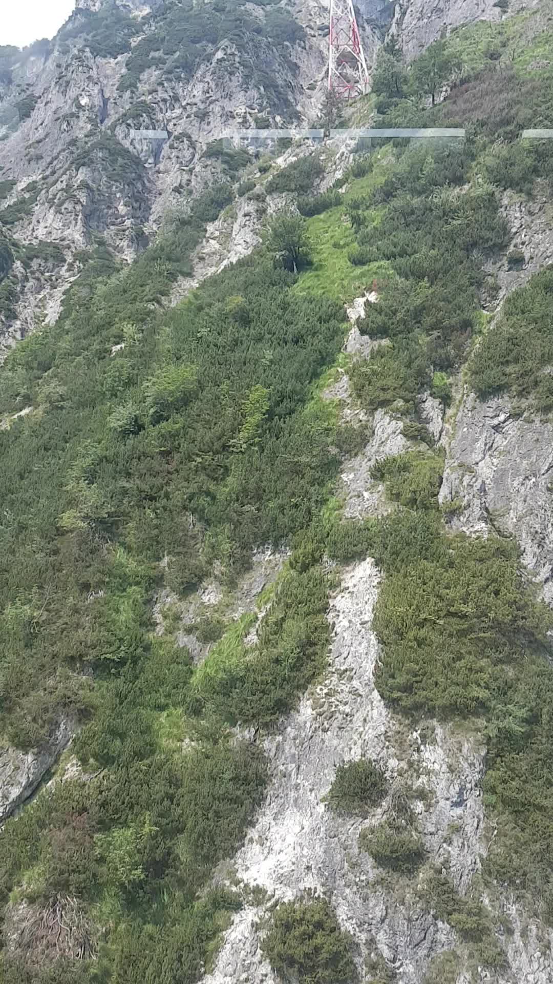 @r_e_n_a_t_e1