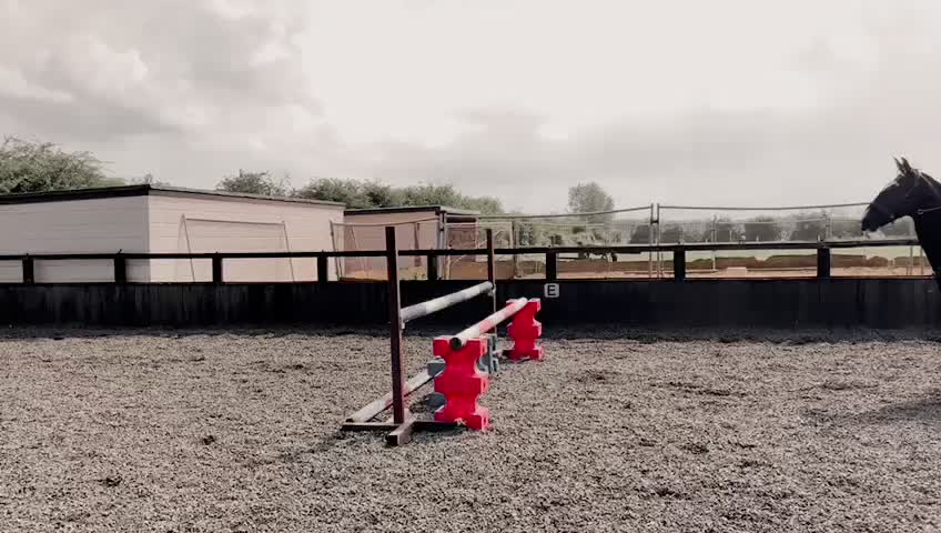 @xo_eleanor16_xo