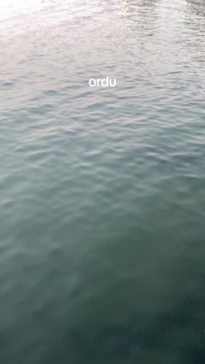 @serkan
