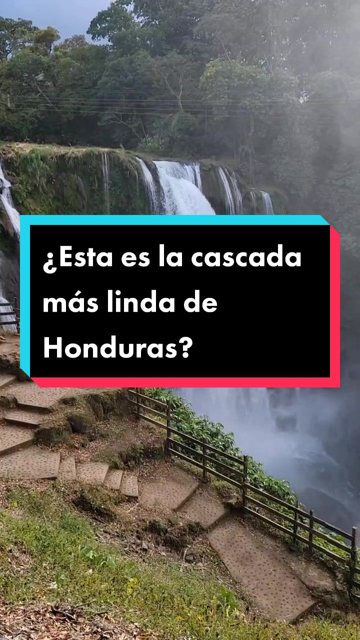 @elmundodegina