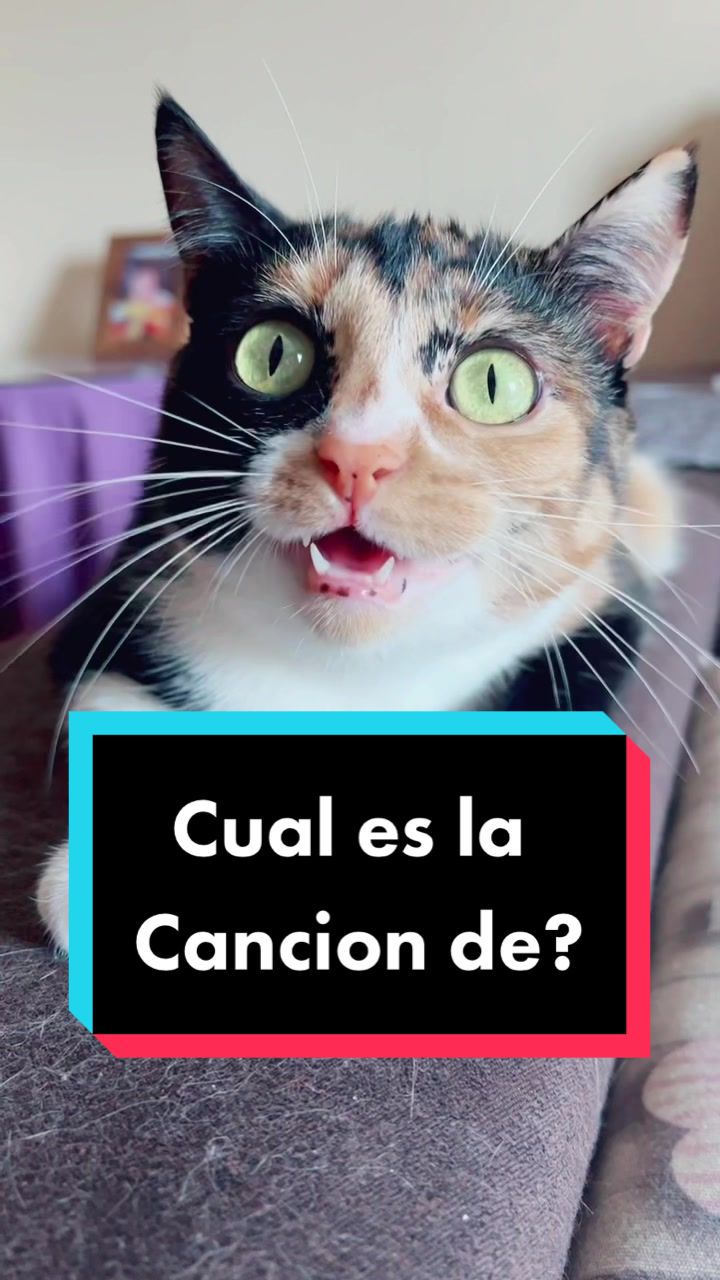 @BlackMisy