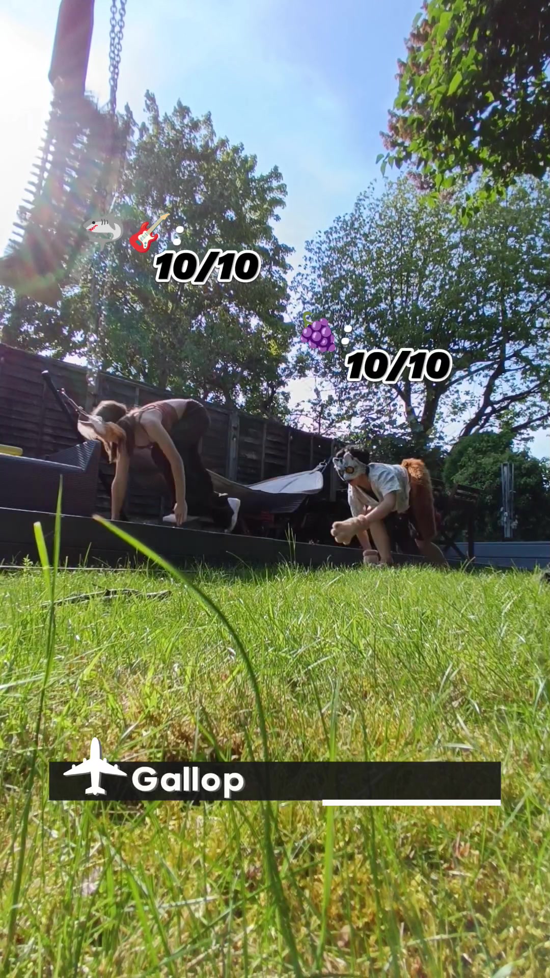 @🍇🐾Beteric 2 🌻🏞️