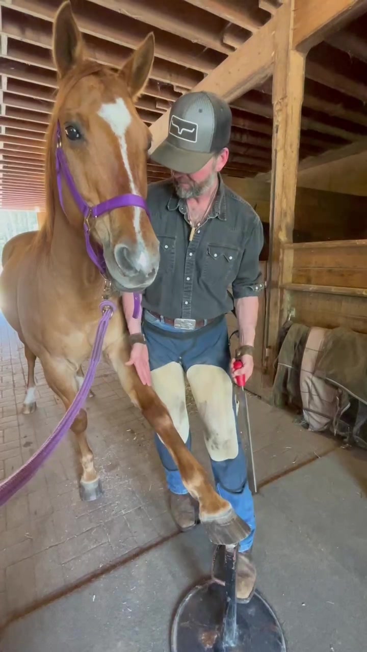 @Brad | Rusty Jade Ranch