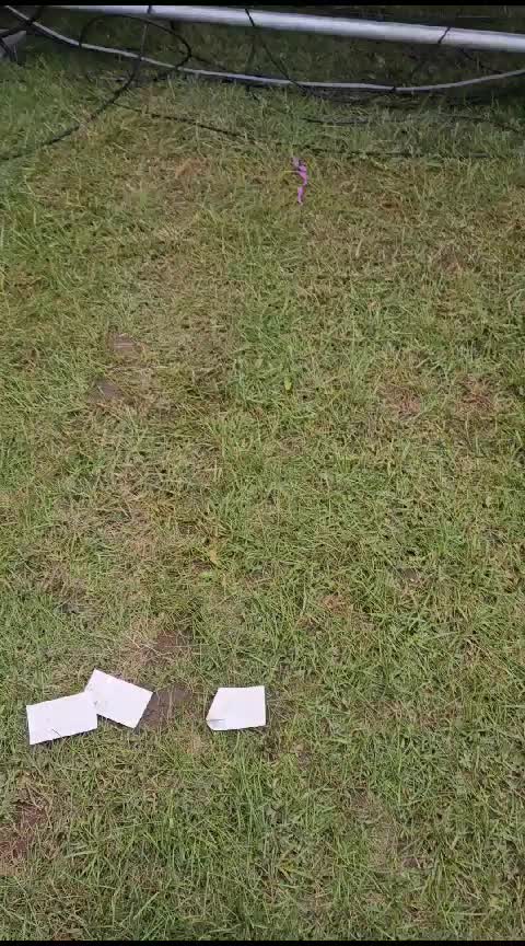@xloyal_soulx