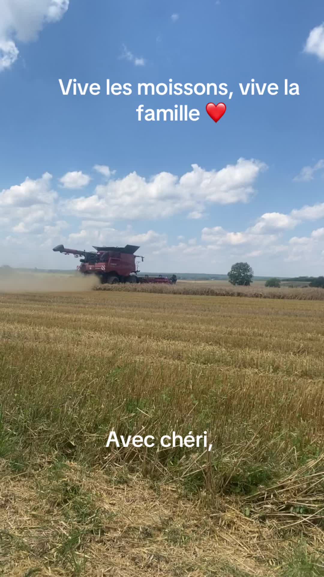 @gwenbonneau