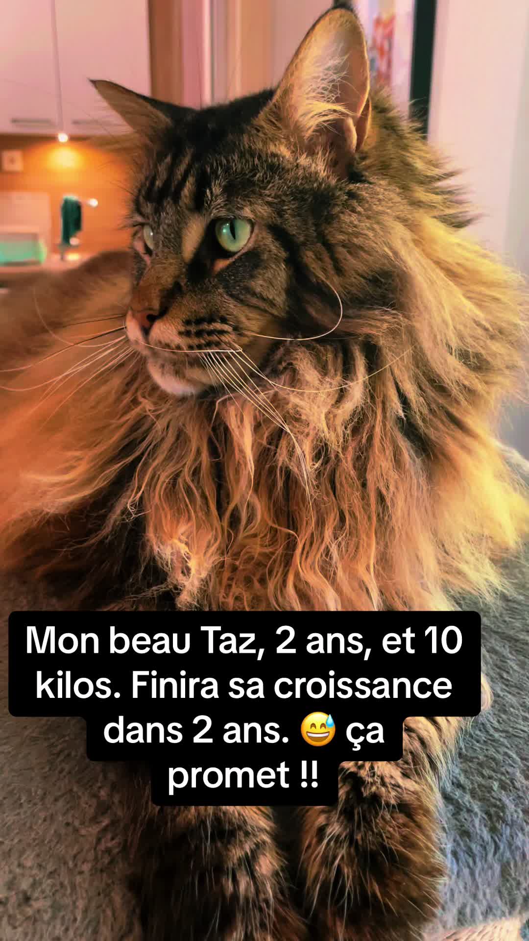 @lindase19