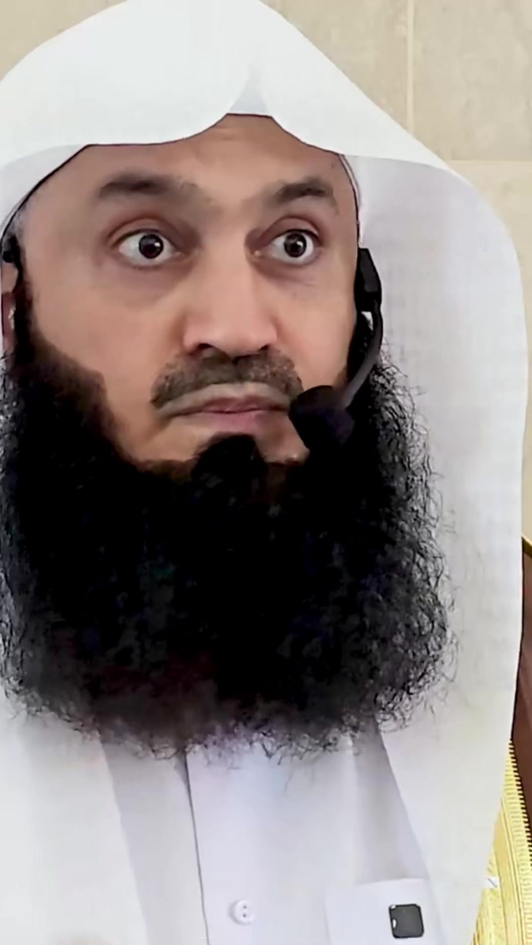 @Mufti Menk