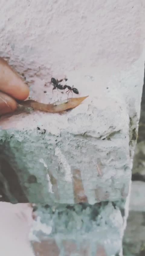 @Ⓥⓘⓝⓐⓨ ⓣⓘⓦⓐⓡⓘ