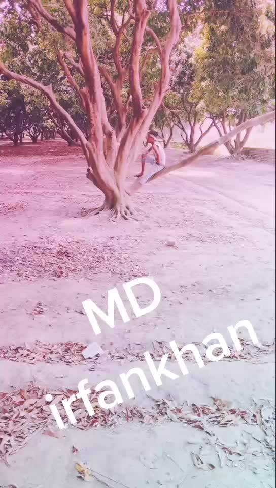 @Md Imbran