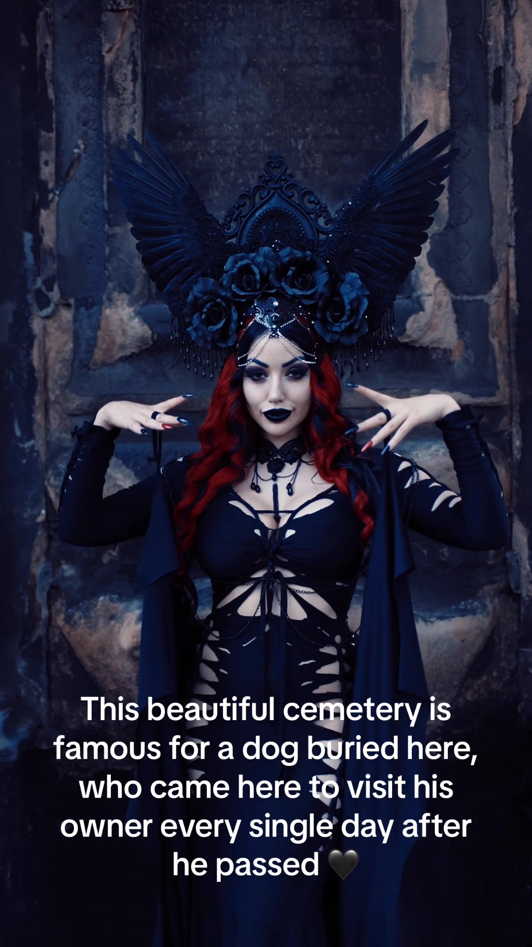 @Dani Divine