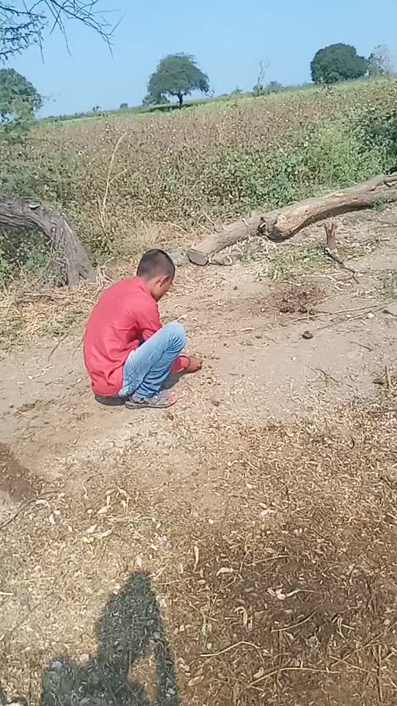 @rameshwar hilal