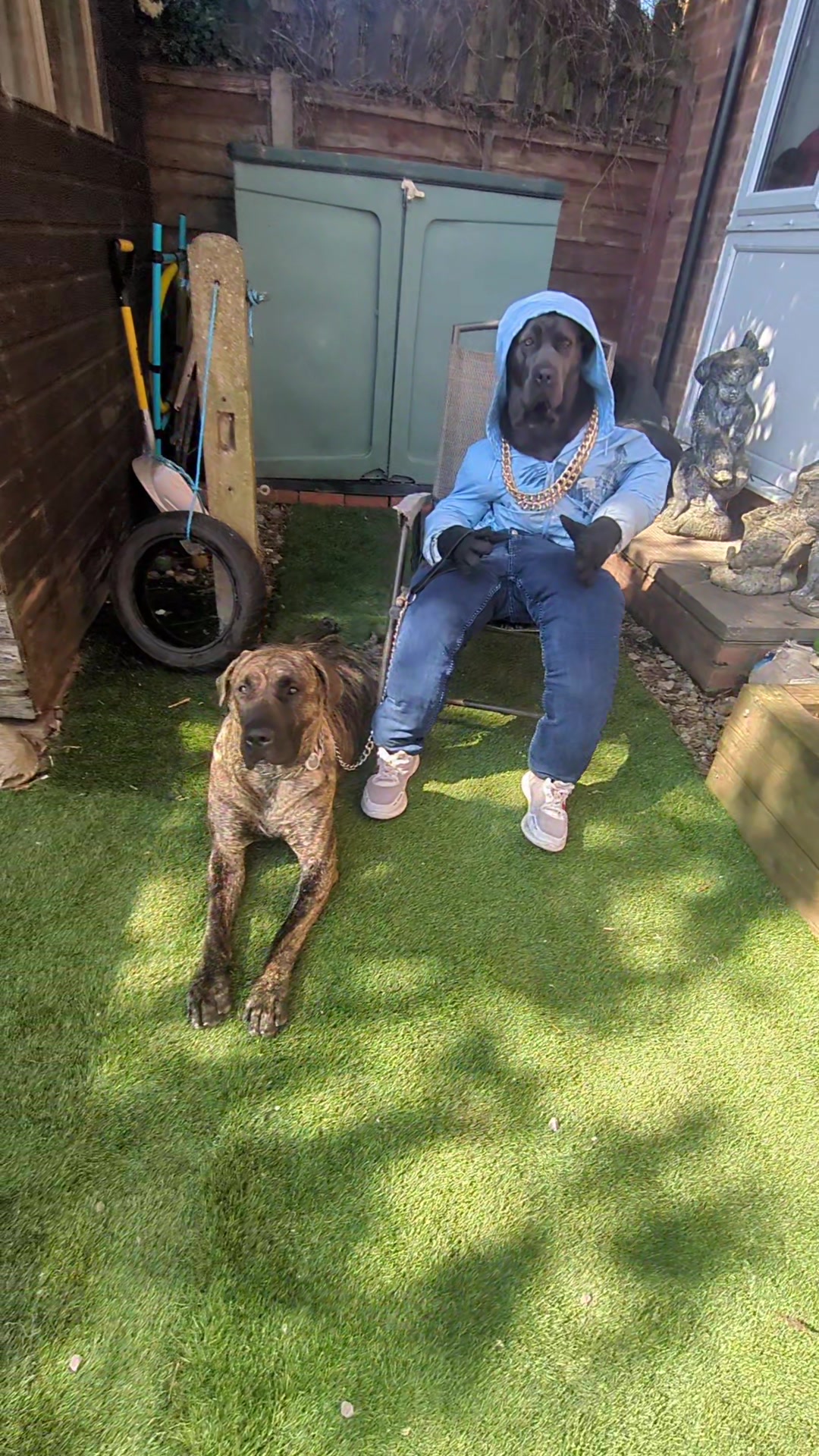 @mist_the_canecorso