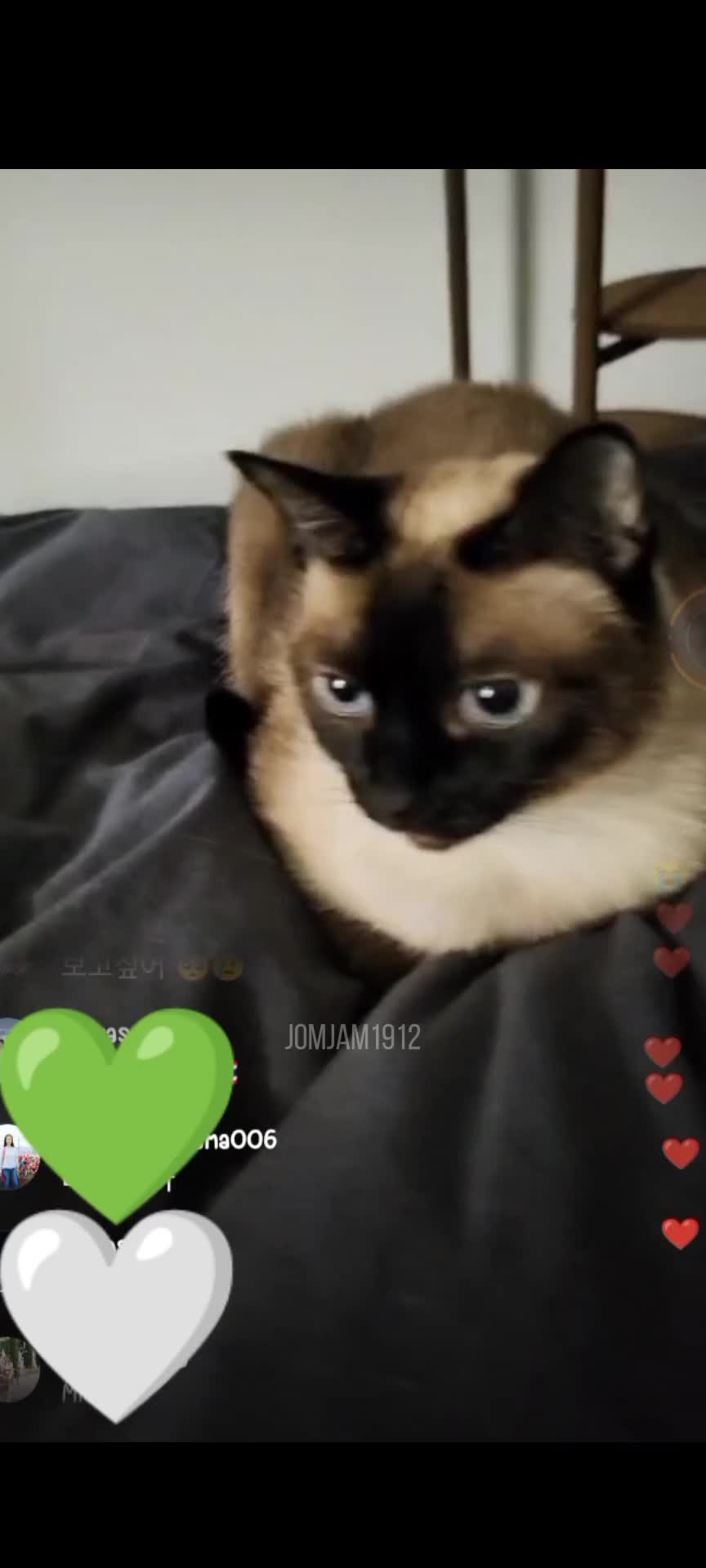 @พี่จินยองหล่อมากกกกก💚🍀
