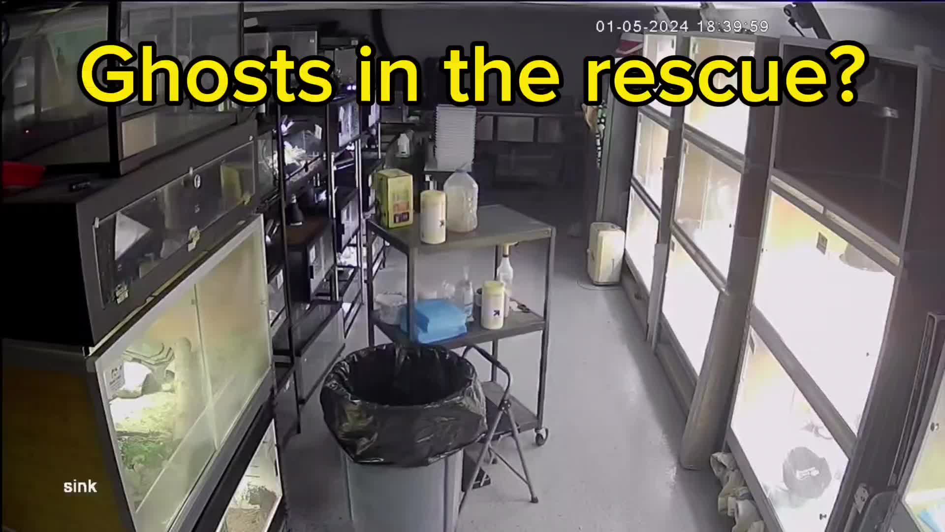 @Fresh Start Rescue