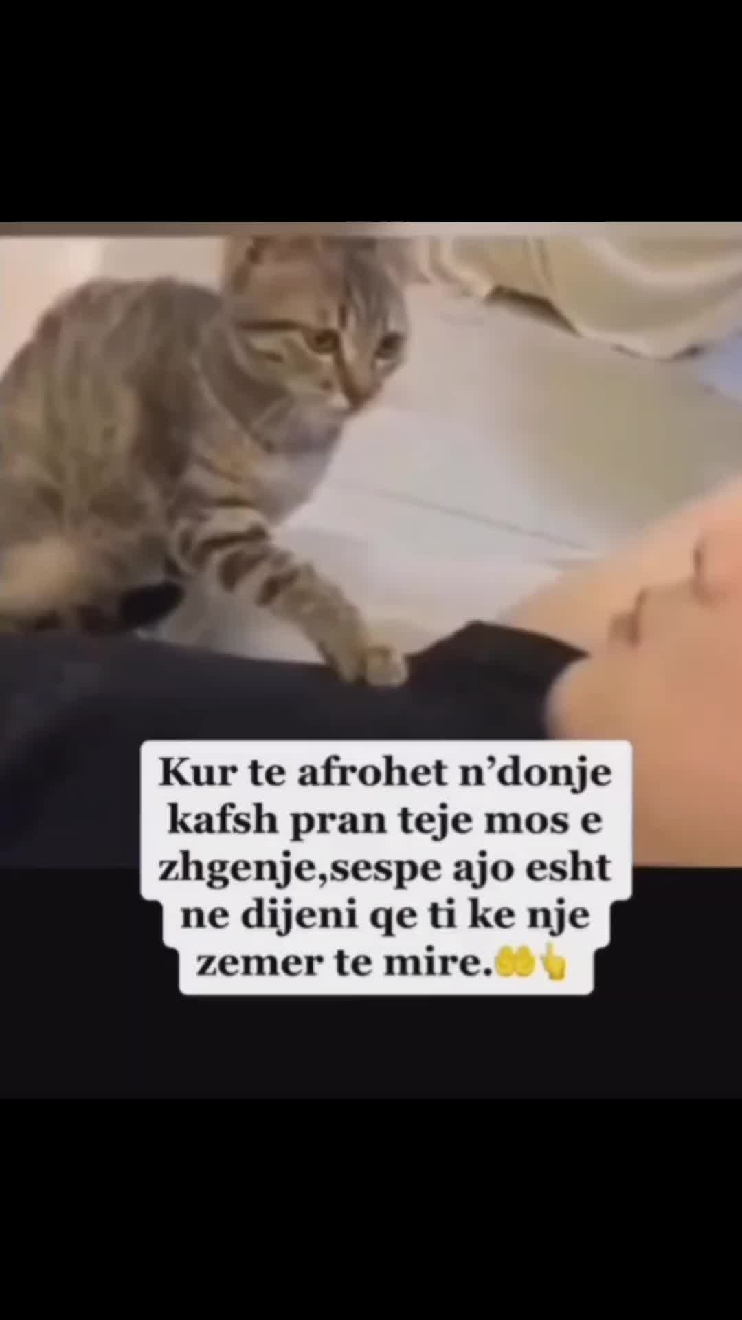 @meli_ina