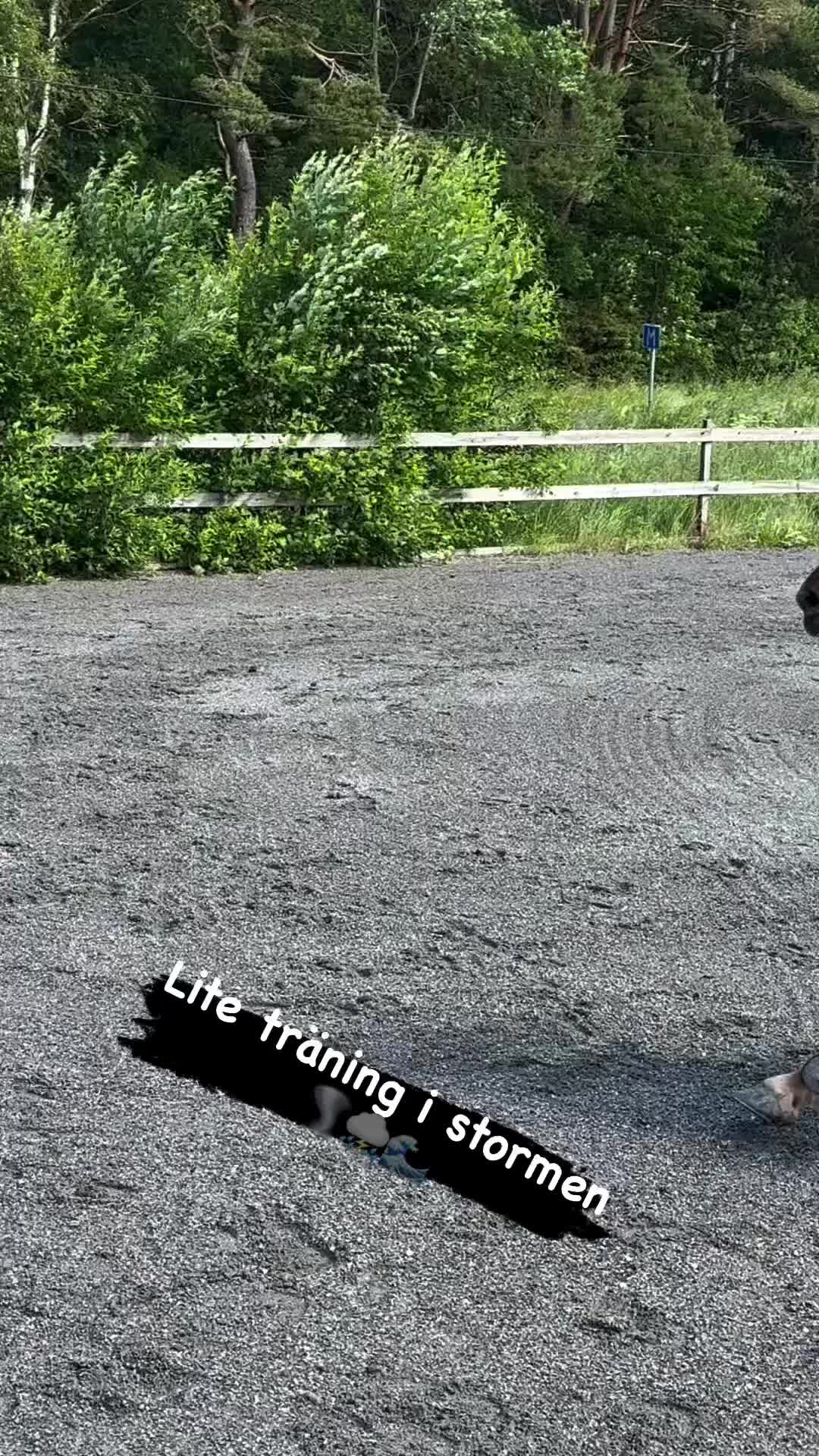 @loucie_a