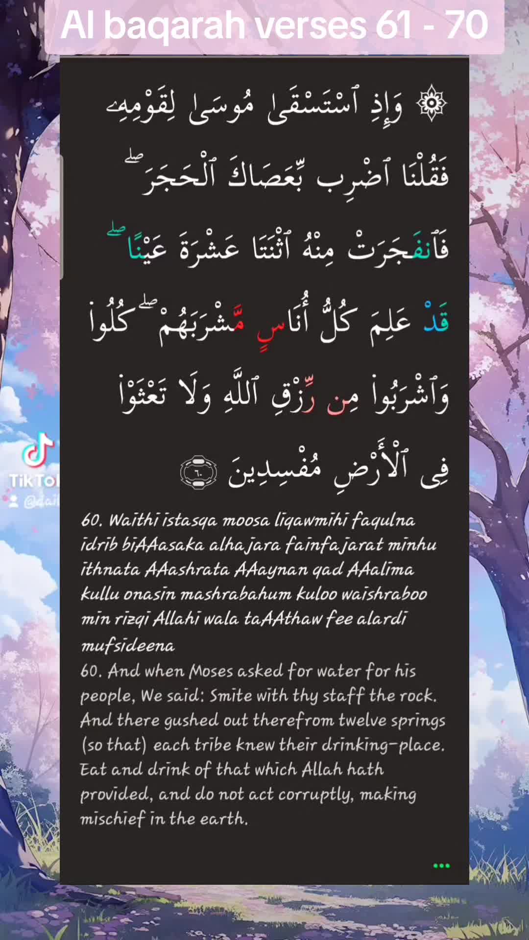 @Dailyqurandeen
