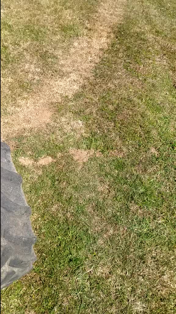 @Remzi Aksoy
