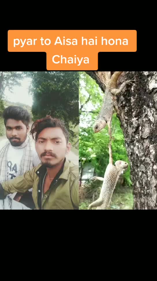 @Ajay Bag