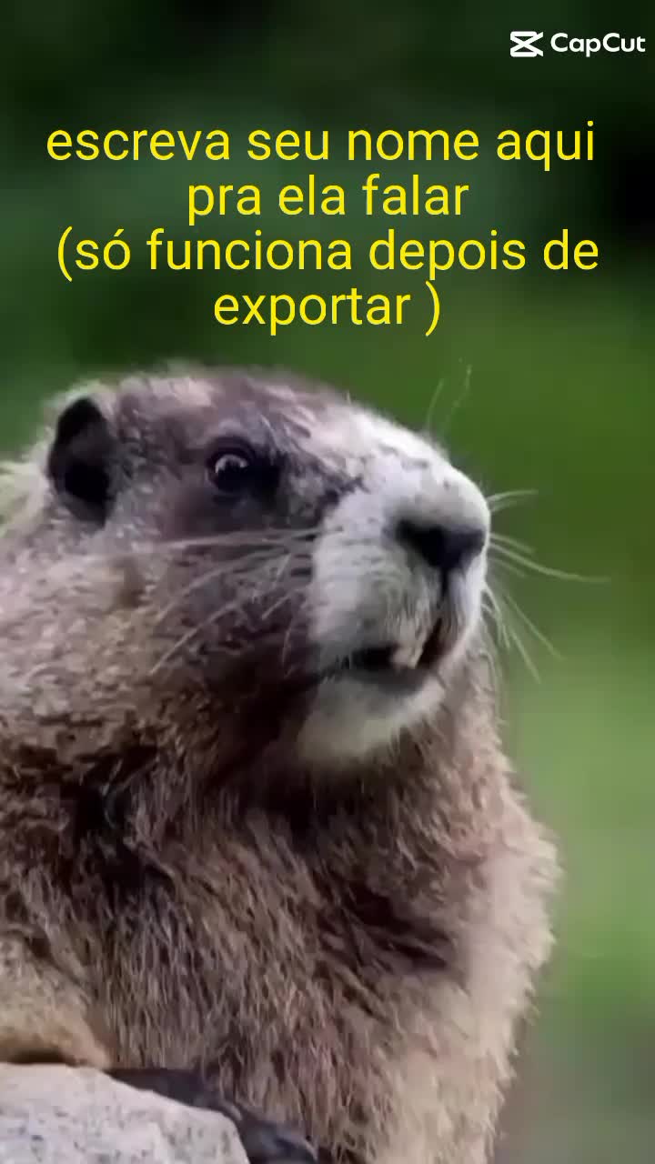 @Nycollas Andrade
