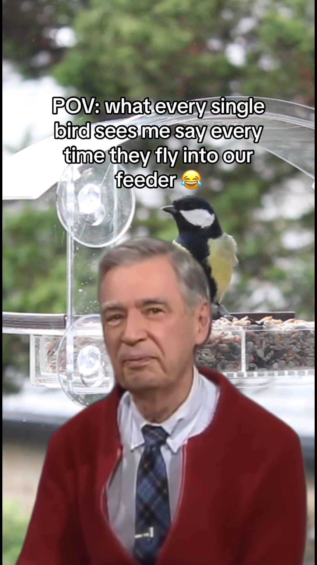 @homebirdshop