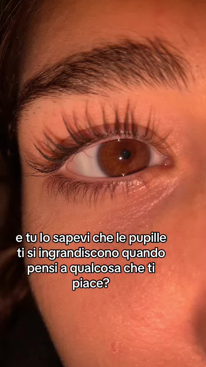 @ayoitsmerii