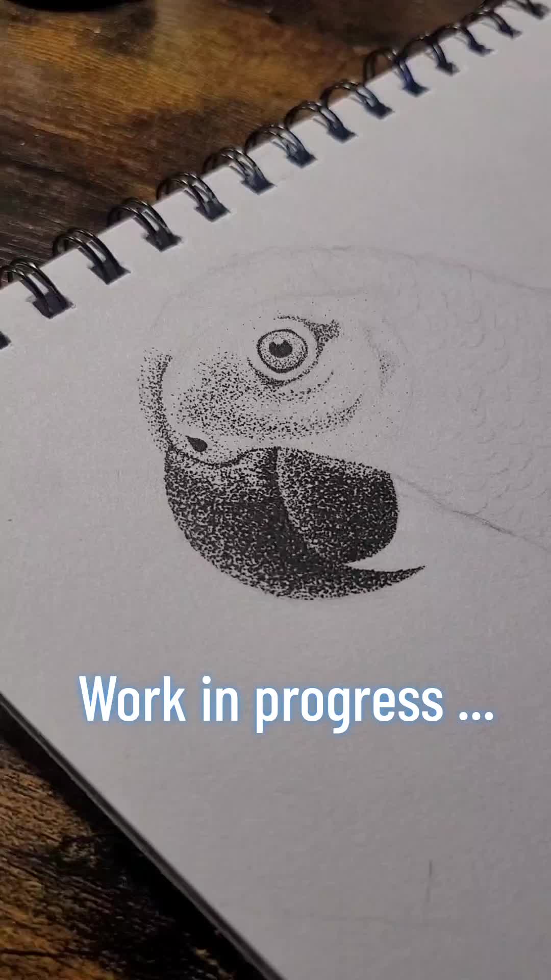 @ManonRc_draw