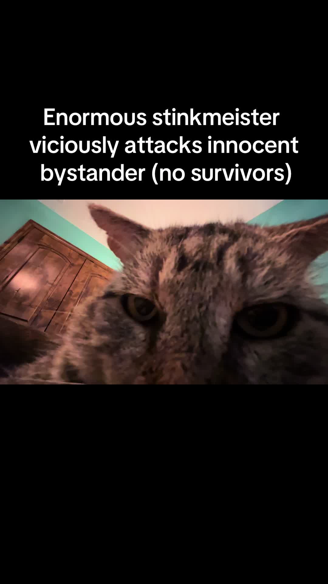 @LiterallyPicasso