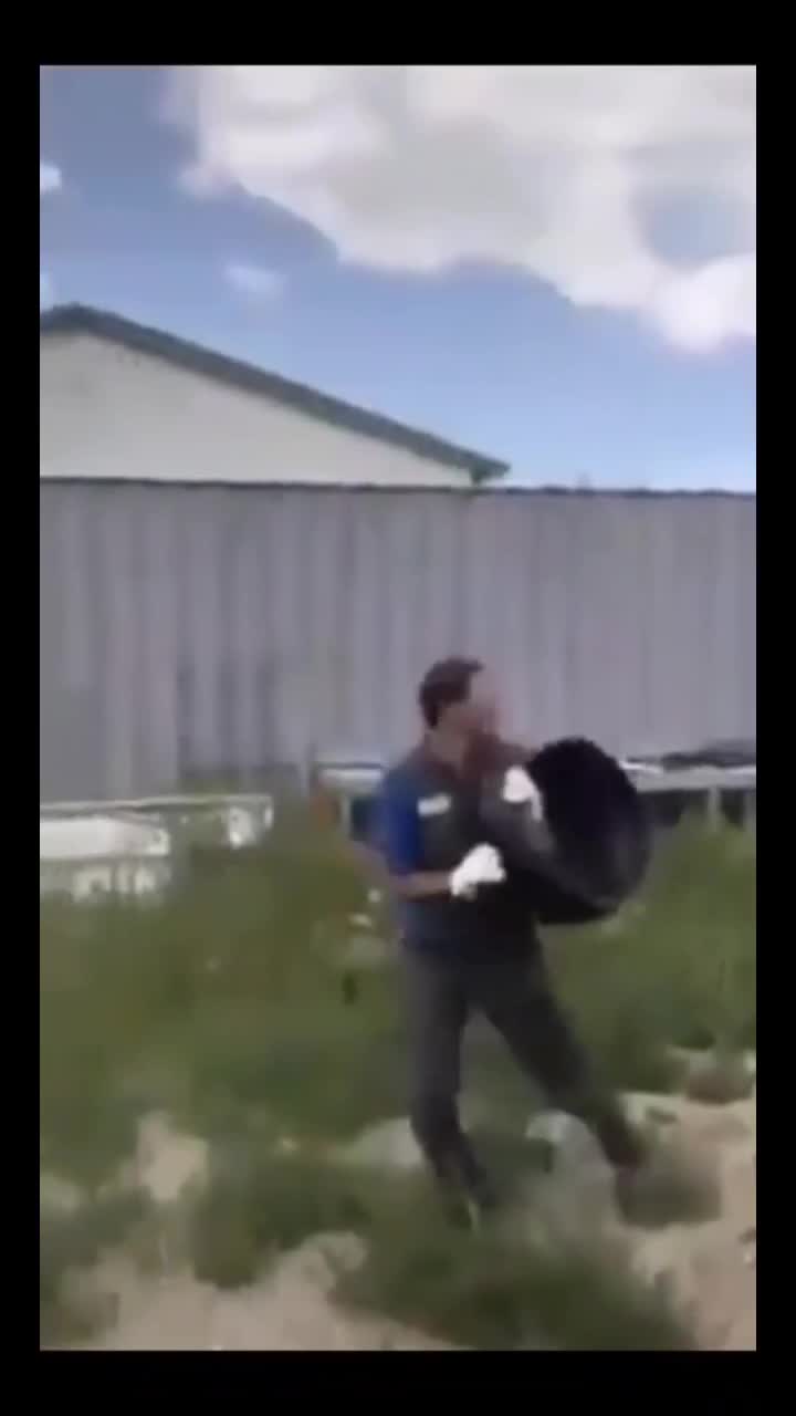 @vabbecomunquelasciastare🧚
