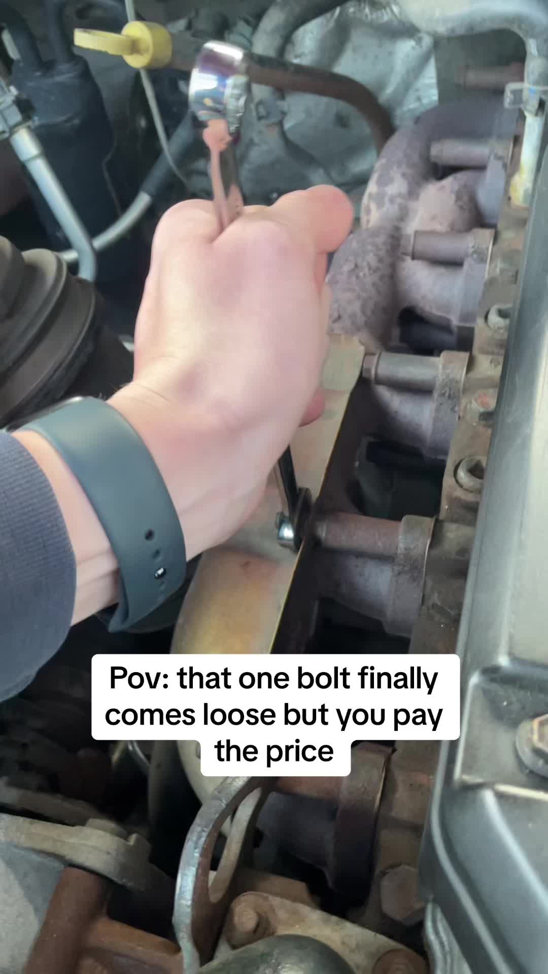@steneck155