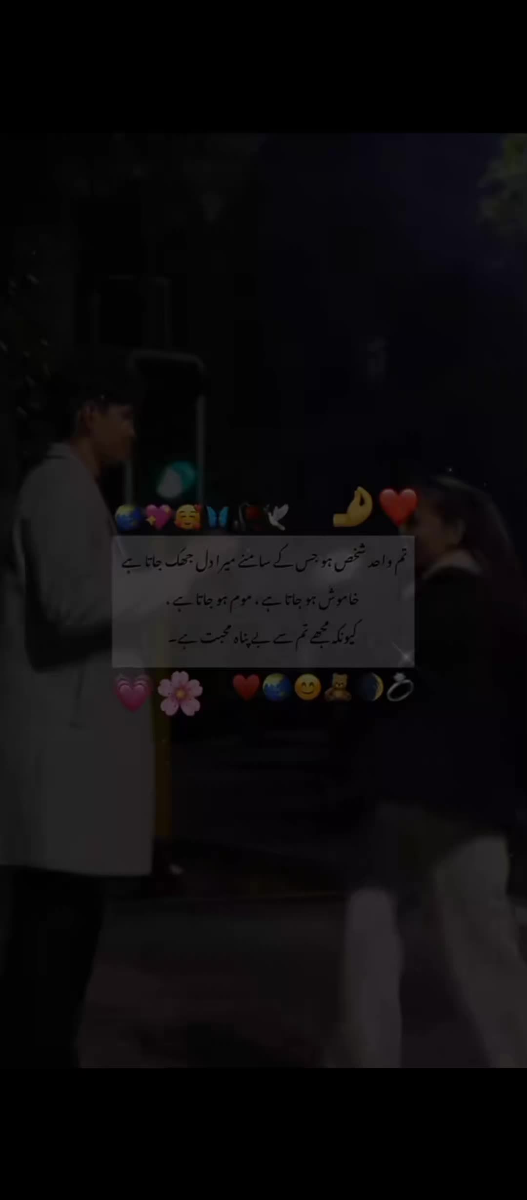 @Muslim Girl 🧕