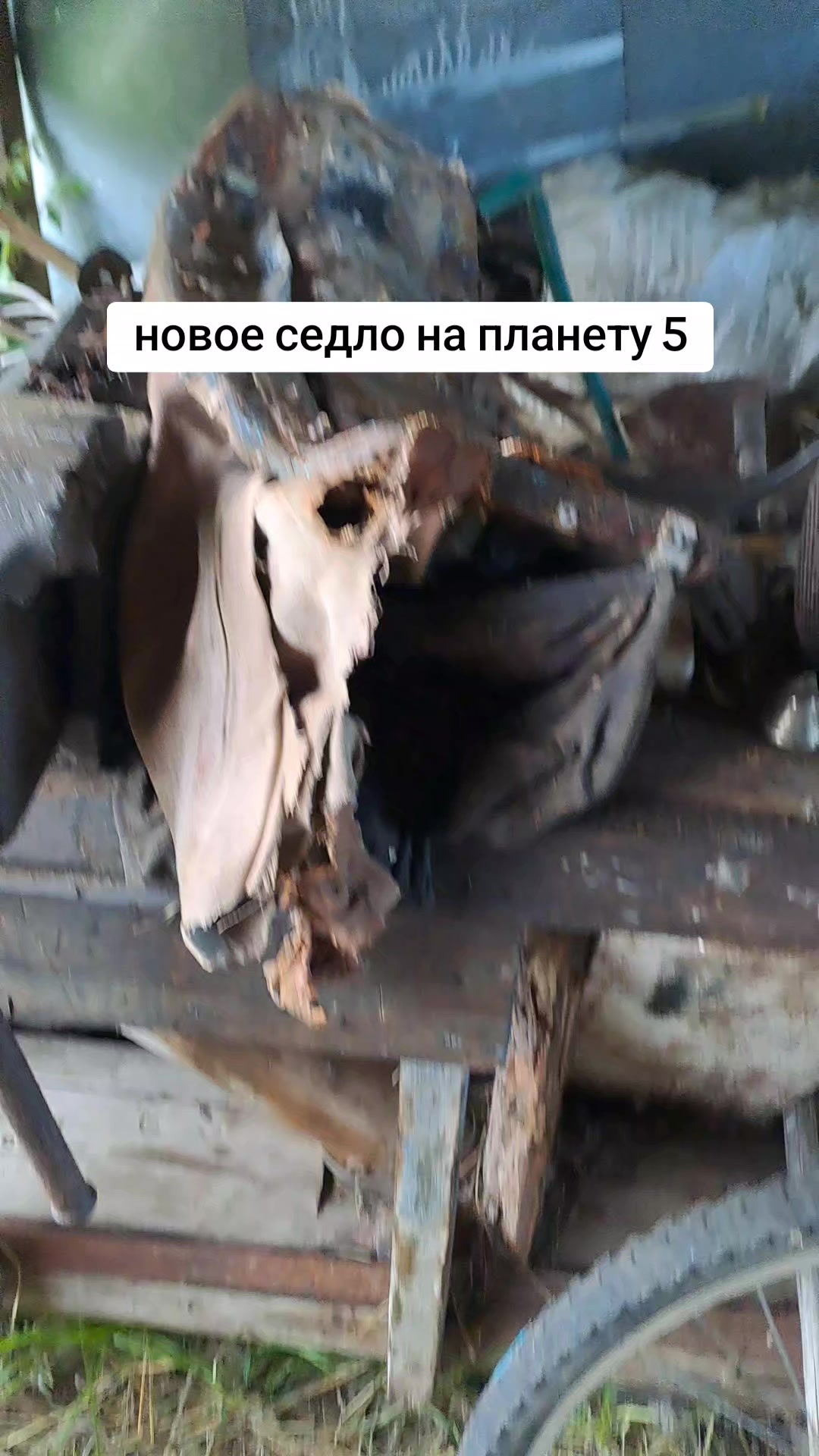 @Egorzhan