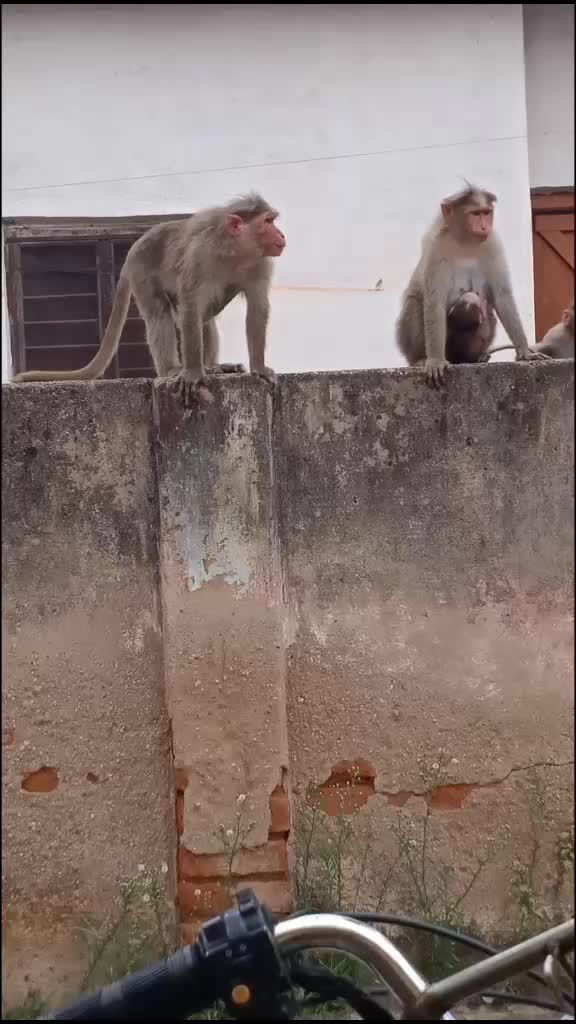 @naveennachhu 009