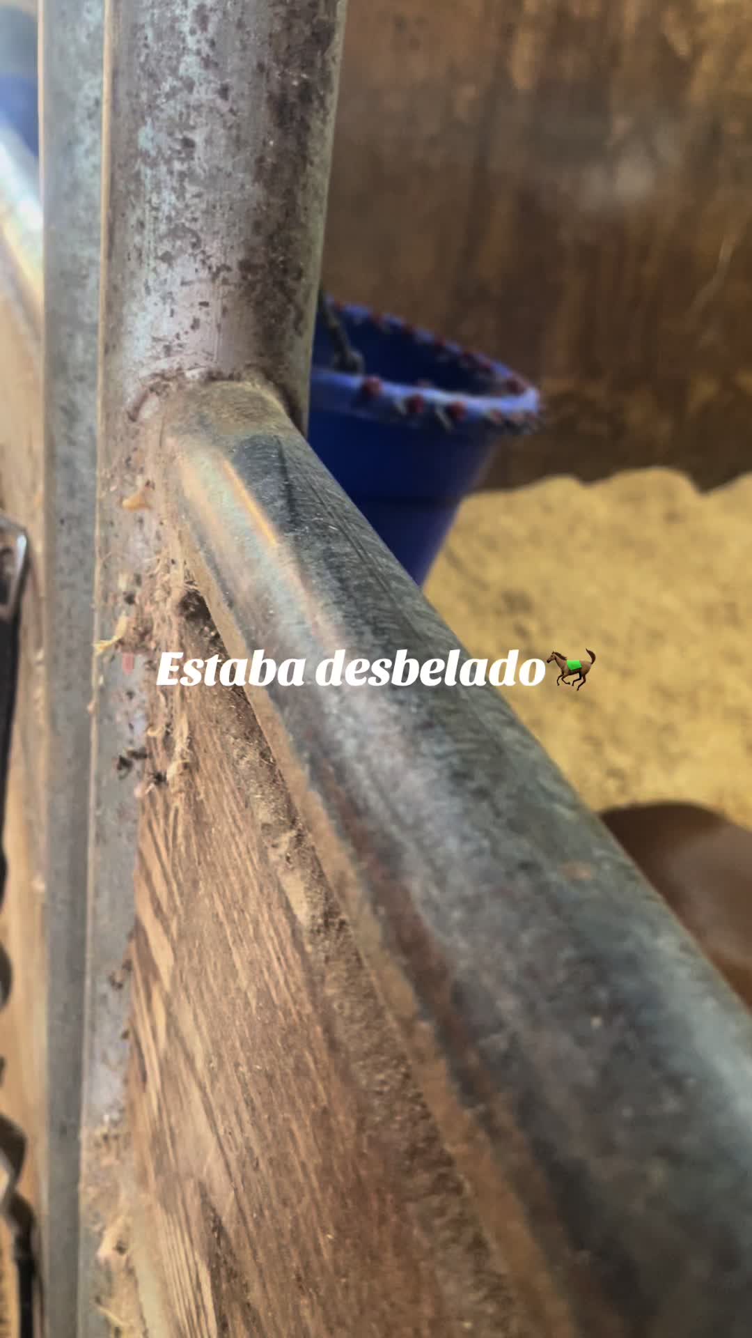 @Sabina Elias Aldama ❤️