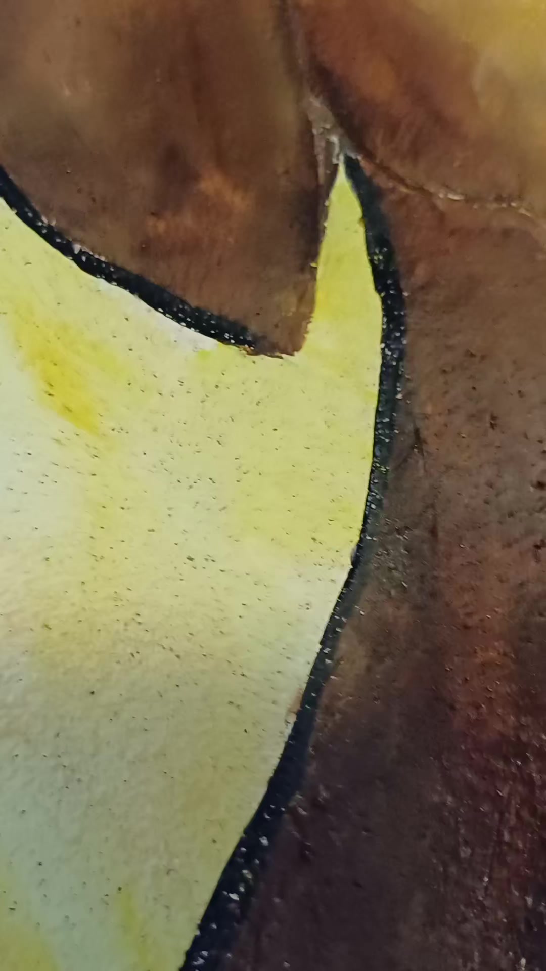 @soileart87