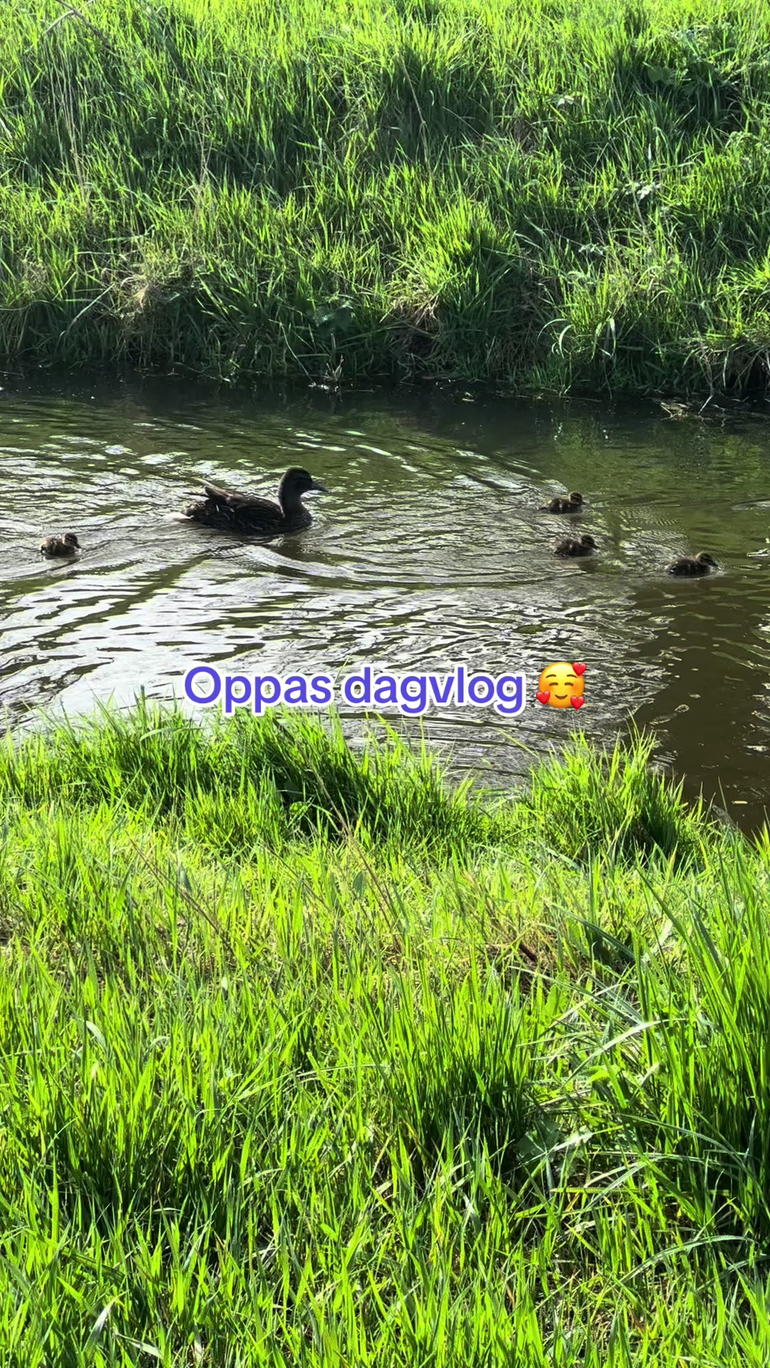 @Nina.care oppas platform