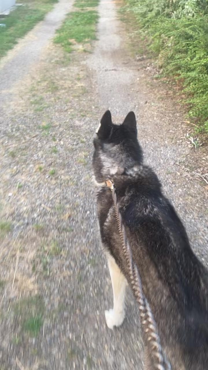 @Neli K&aacute;li, 🥰