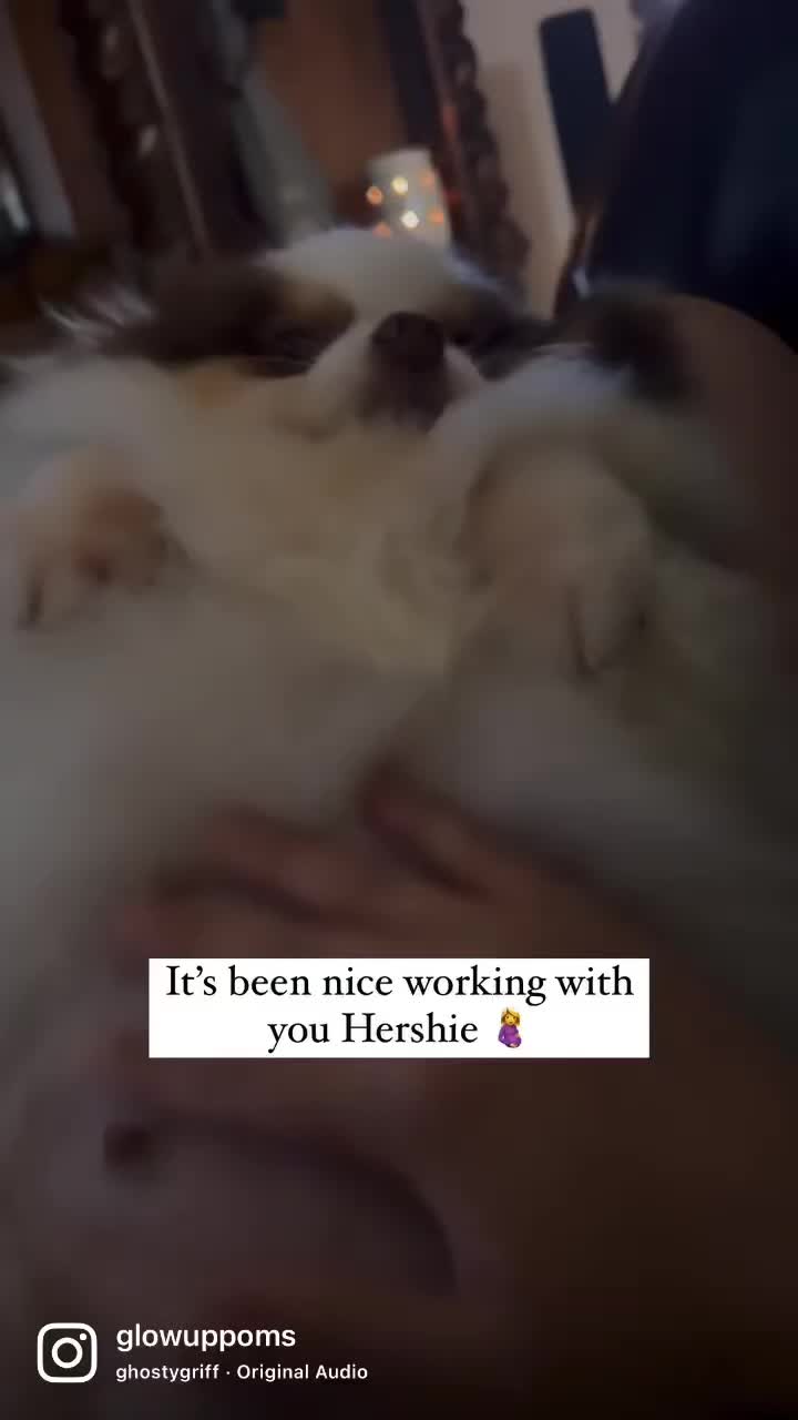 @Letsy