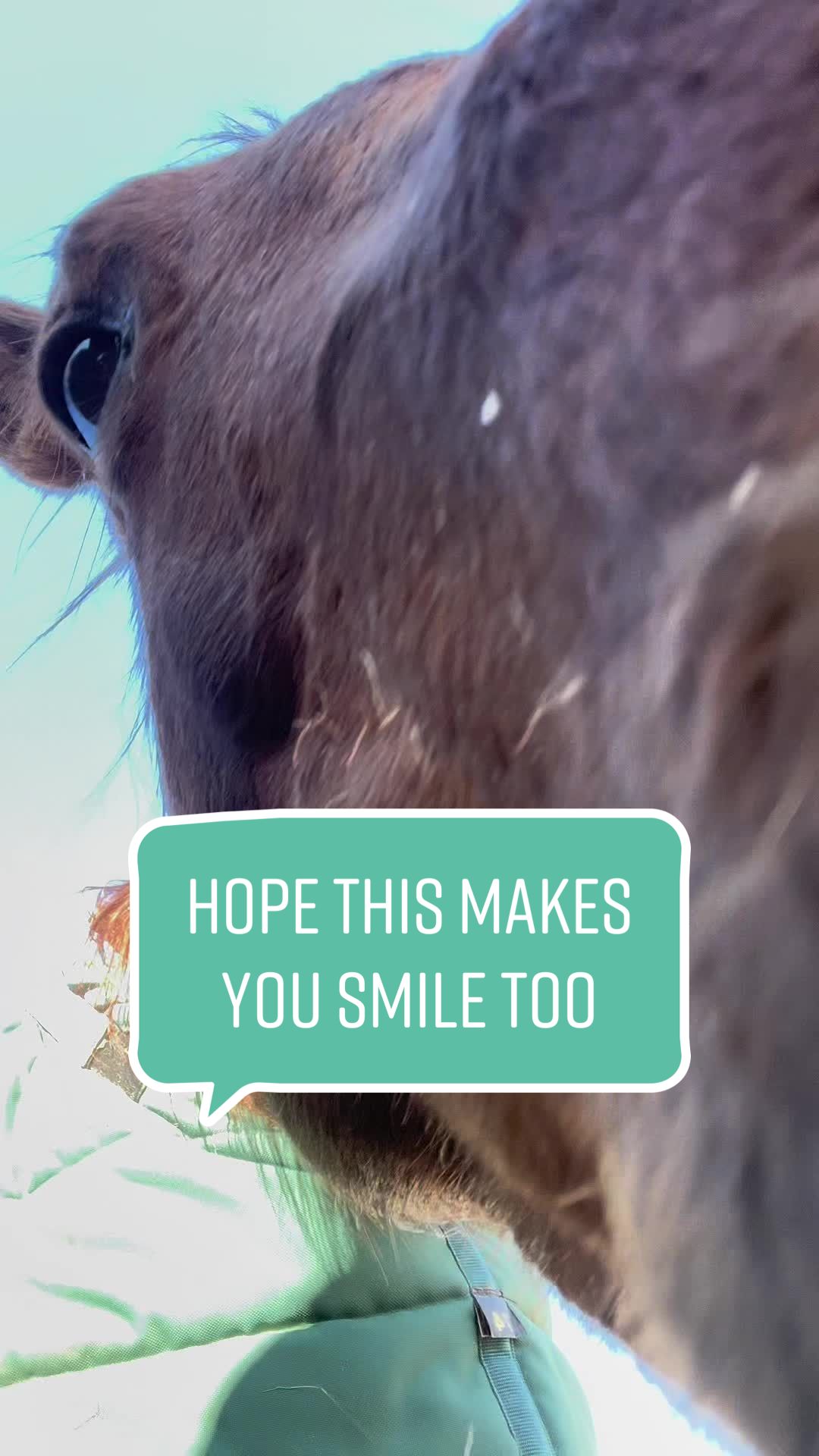 @Nikki Porter