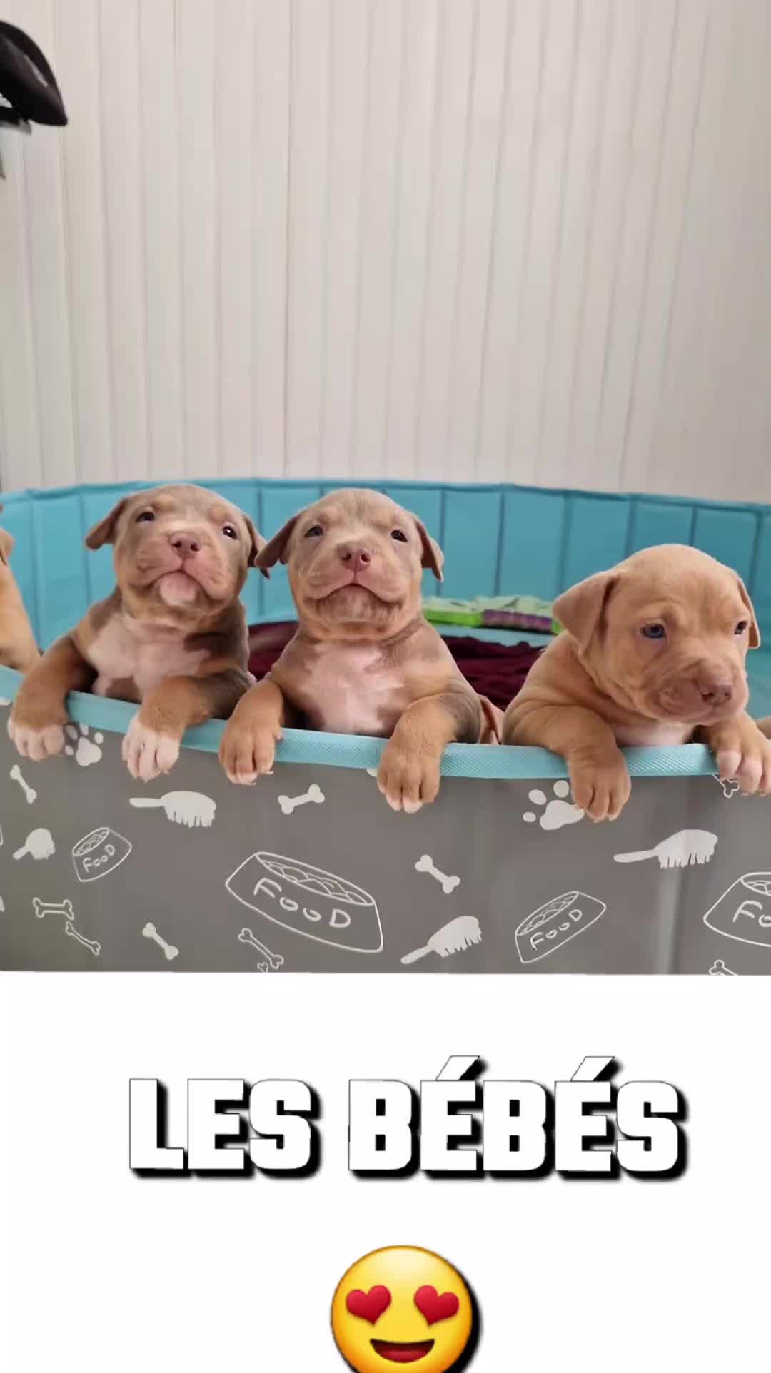 @Baby'sNala